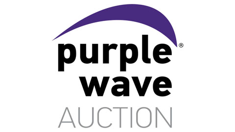 Purple Wave Auction